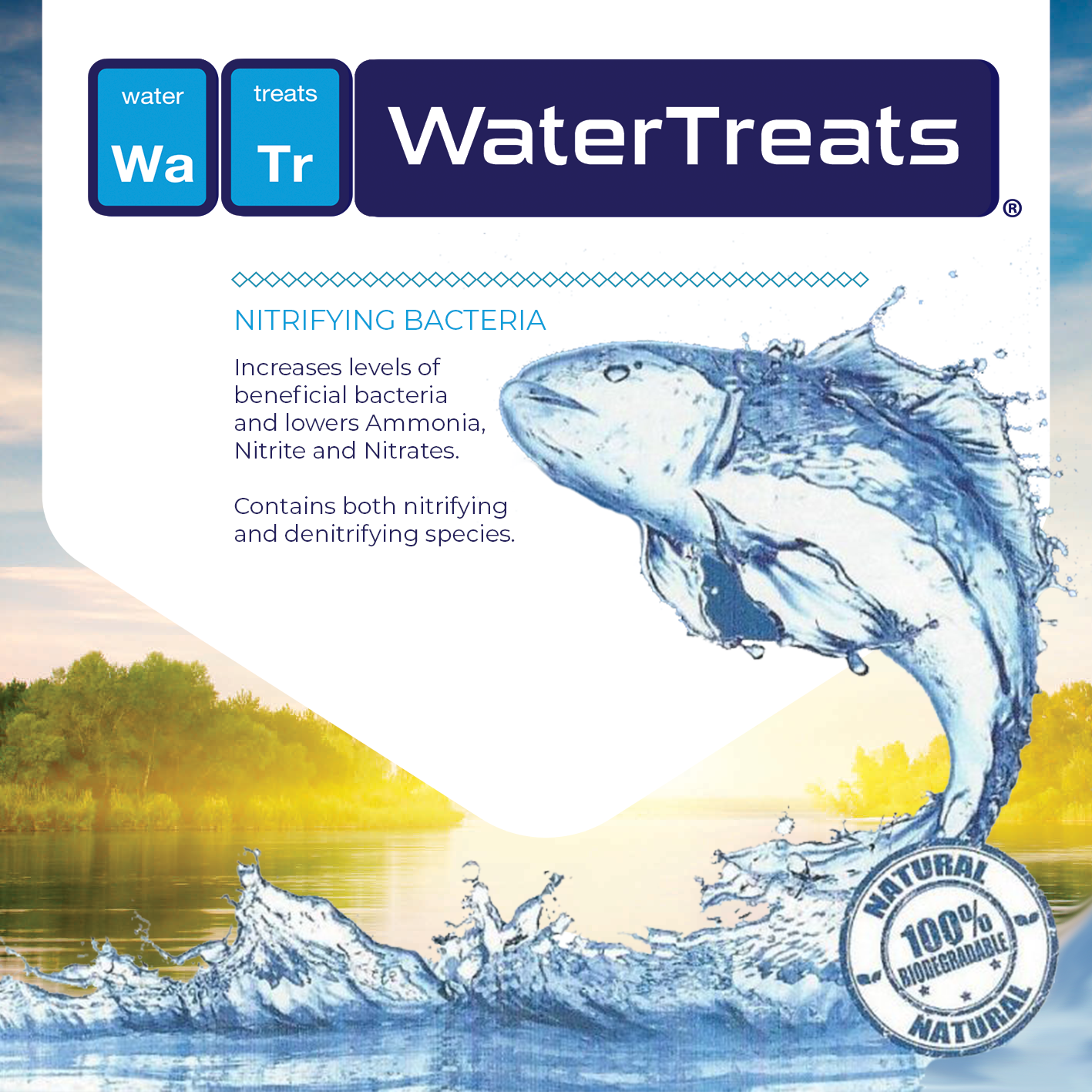 Nitrifying Bacteria (1L) - Image 2