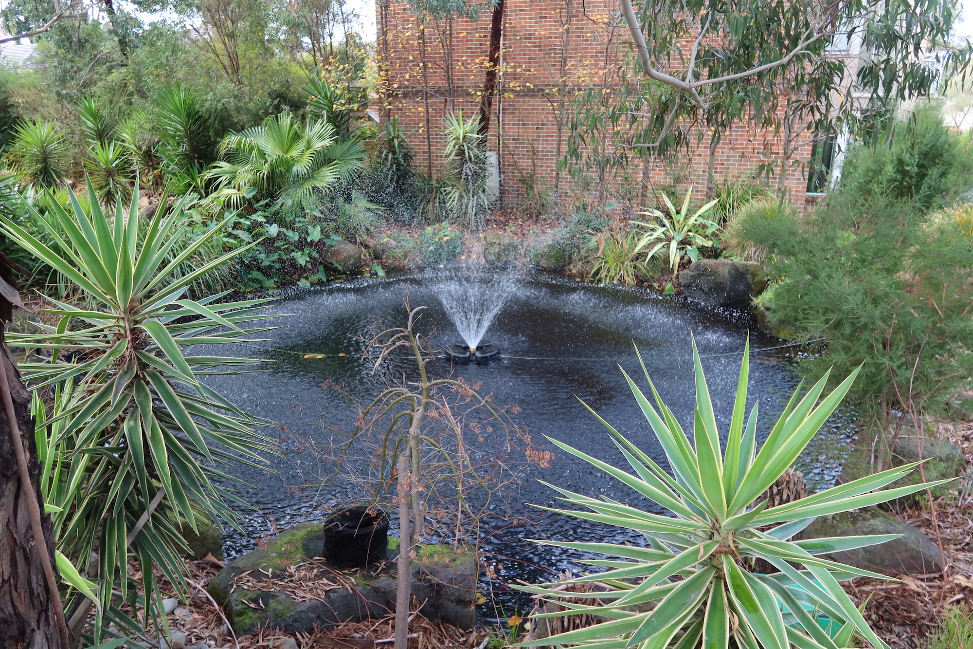 Matala Floating Fountain System 1/3hp with 20m Cable - FFS - Image 2