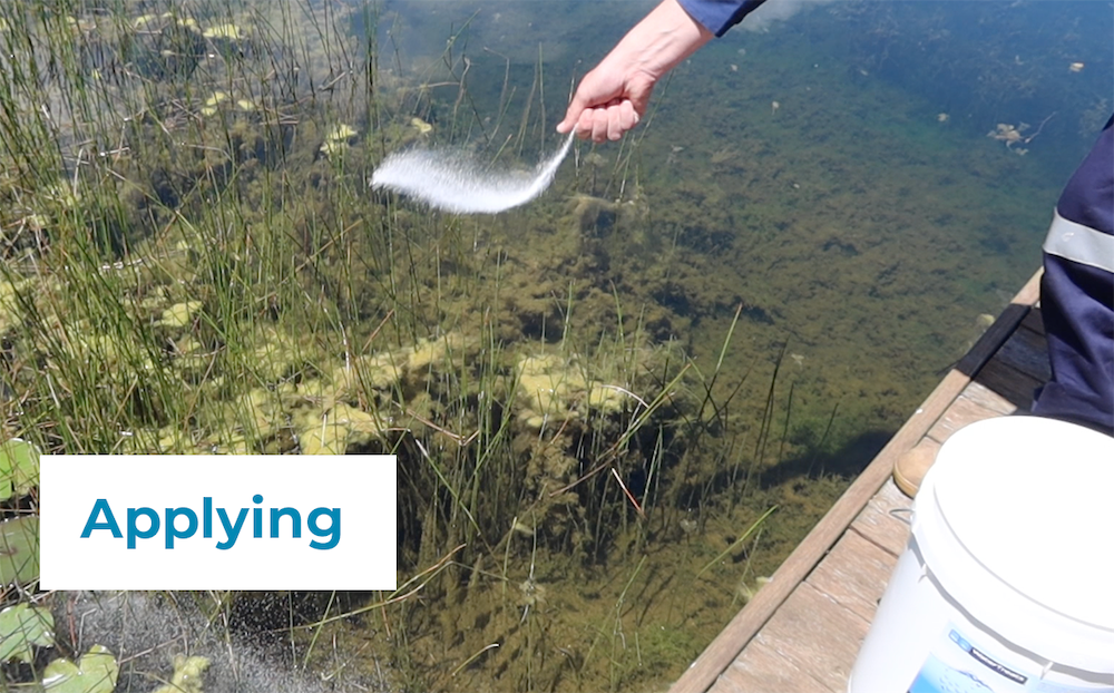 Algae Lift—Granular (10kg) - Image 2