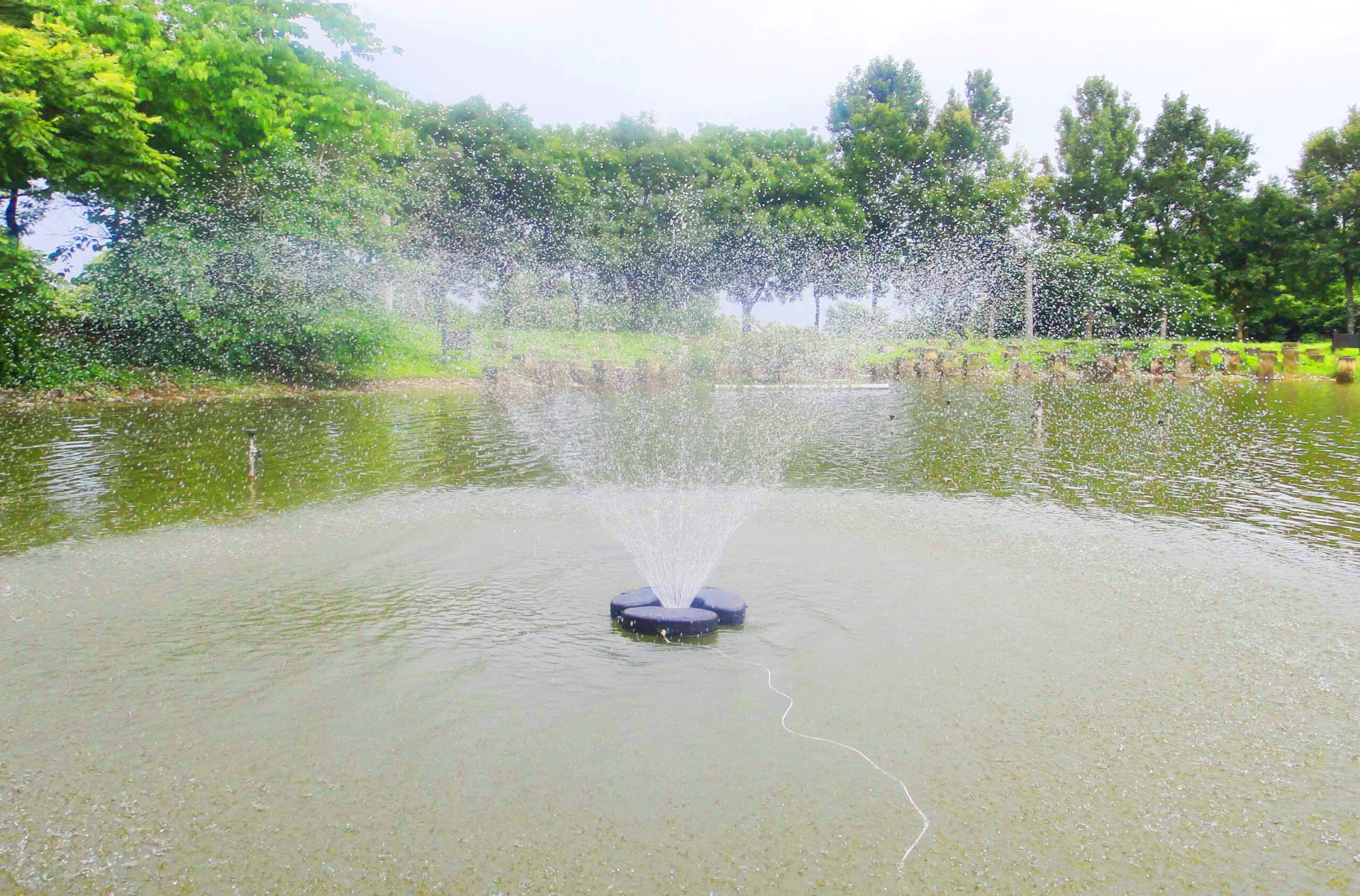 Matala Floating Fountain System 1/3hp with 20m Cable - FFS - Image 4