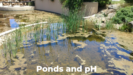 Ponds and pH
