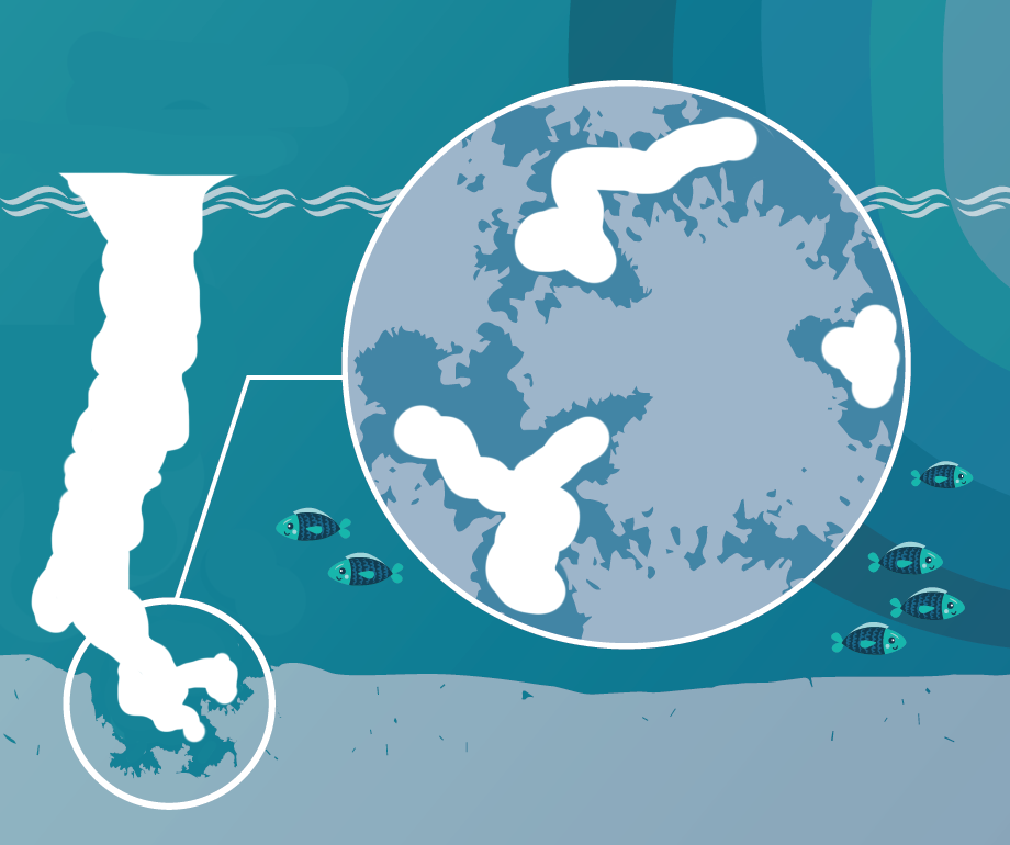 Biostim Liquid (5L) - Image 6