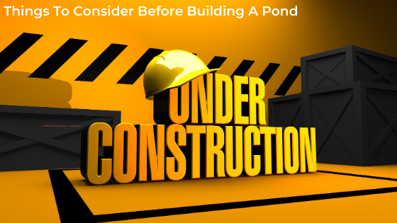 Things To Consider Before Building A Pond