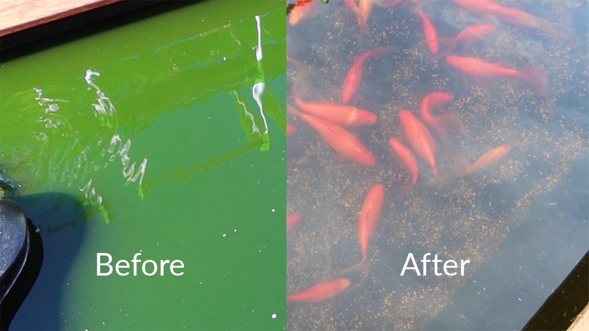 Matala EzClear 75W UVC Light - Image 9