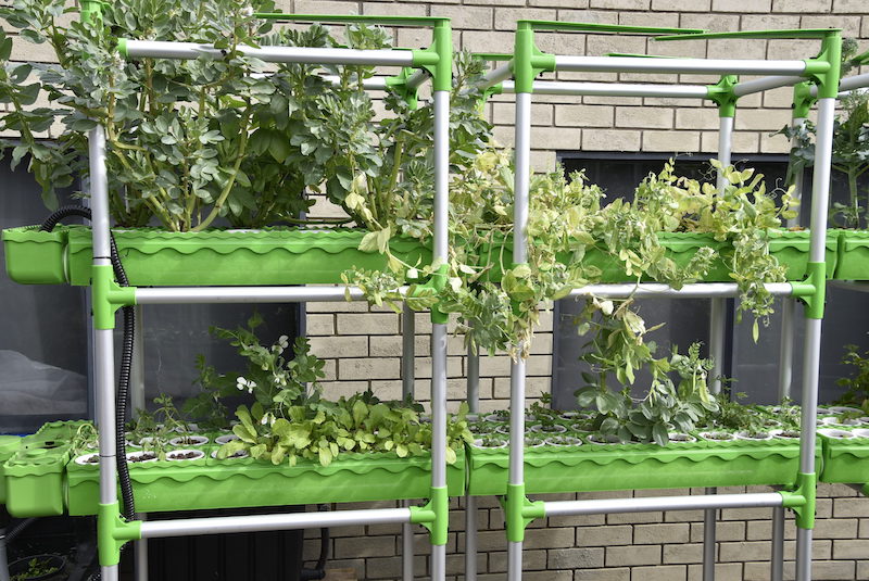 GrowEasy Aquaponics Starter Kit - Image 2