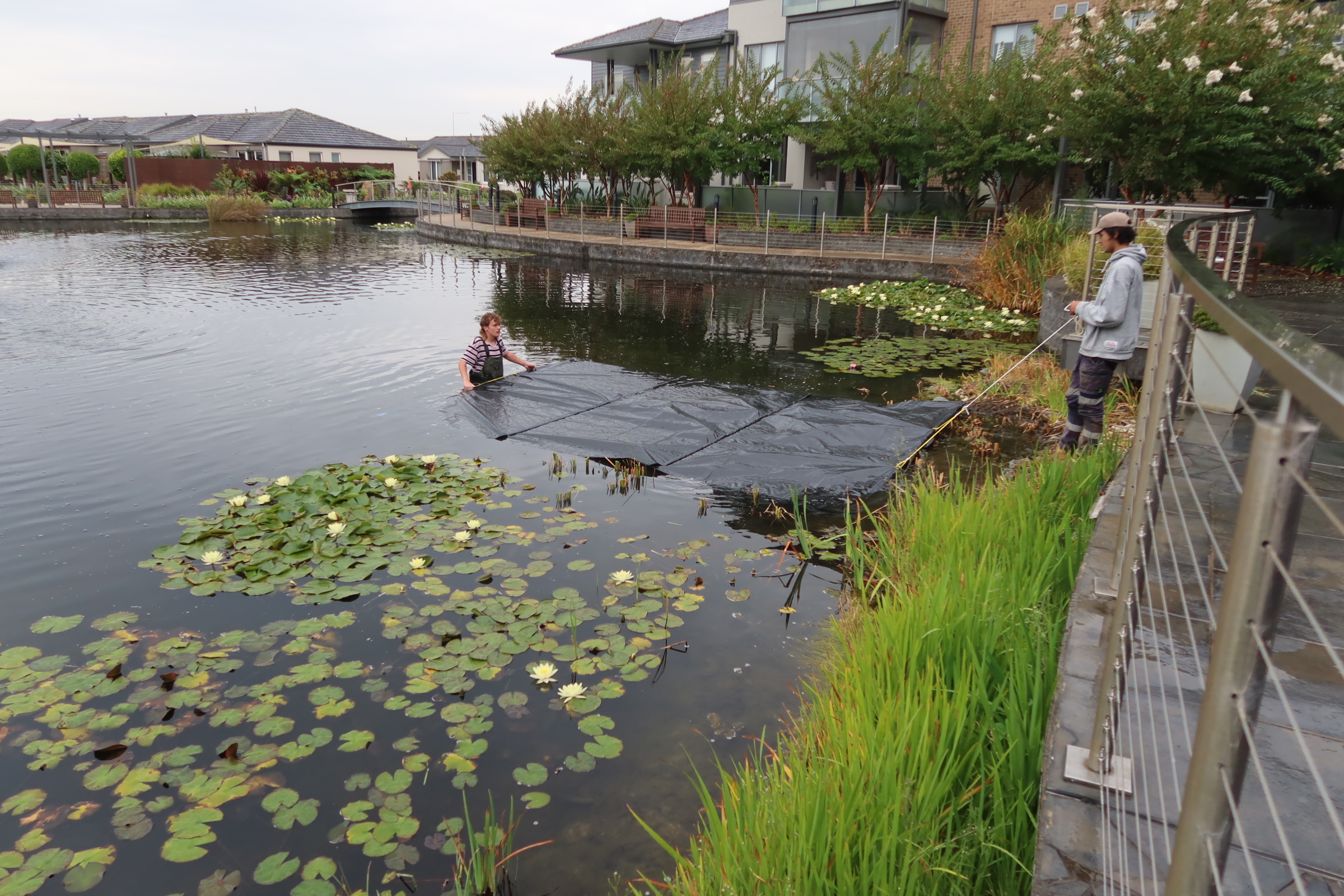 Lake Bottom Blanket (3m x 9.1m) - Image 4