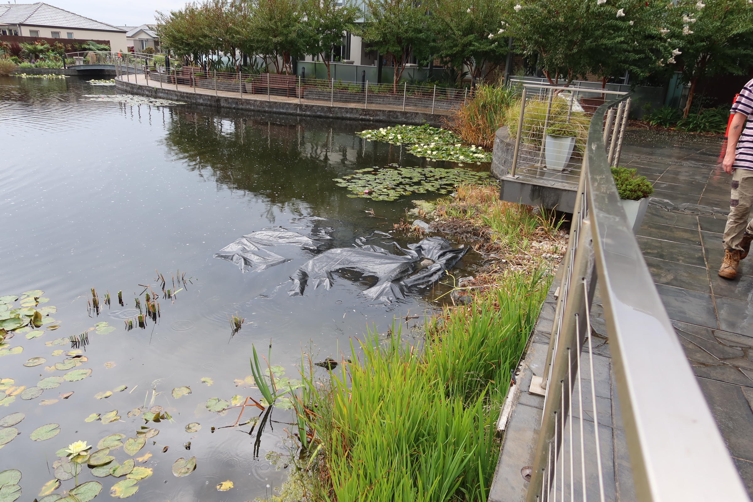 Lake Bottom Blanket (3m x 9.1m) - Image 5