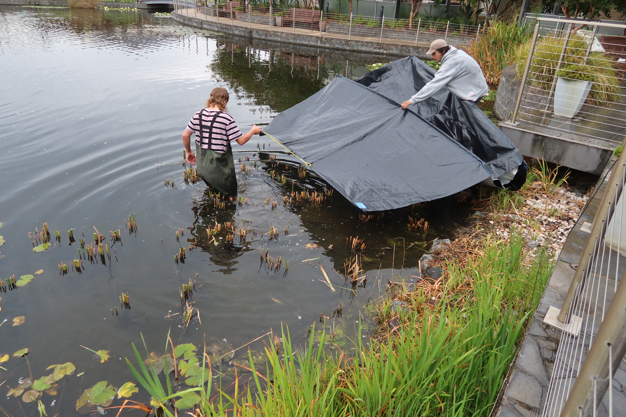 Lake Bottom Blanket (3m x 9.1m) - Image 2