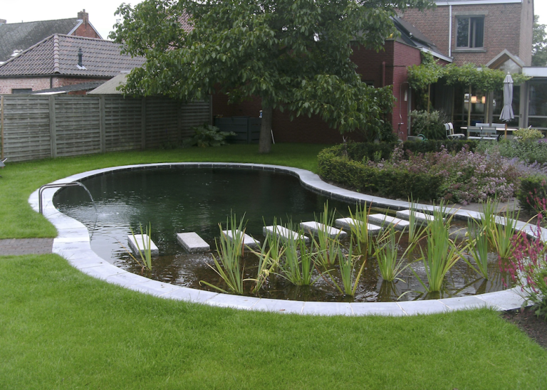 What Size Pond Pump Do I Need? A Complete Flow Rate Guide