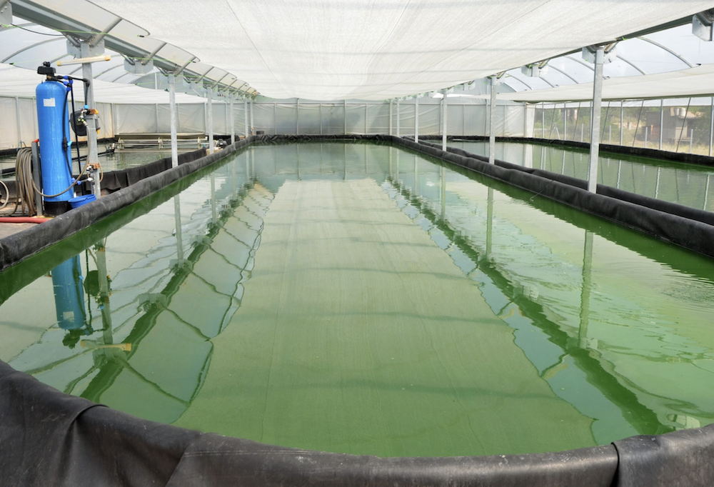 7.5m x 30m Roll (0.8mm Thick)—Rollgum Smooth EPDM Liner - $5,397.75 inc gst ($23.99 per m2) - Image 7