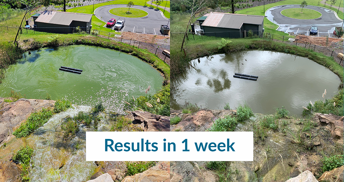 Biostim PhosFix (10L)—Eco-Friendly Phosphorus Remover & Water Clarifier - Image 2