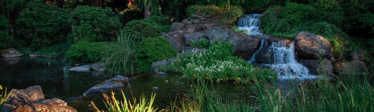 The Best Pumps for Waterfalls: What You Need for Stunning Water Flow